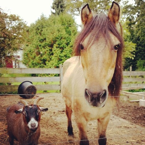 Beispielbild Instagram